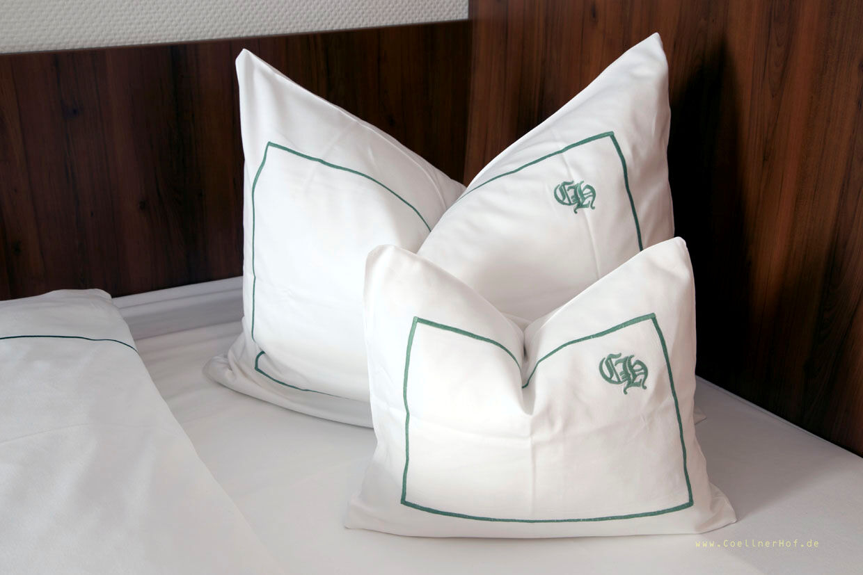 Coellner Hof Отель 3*